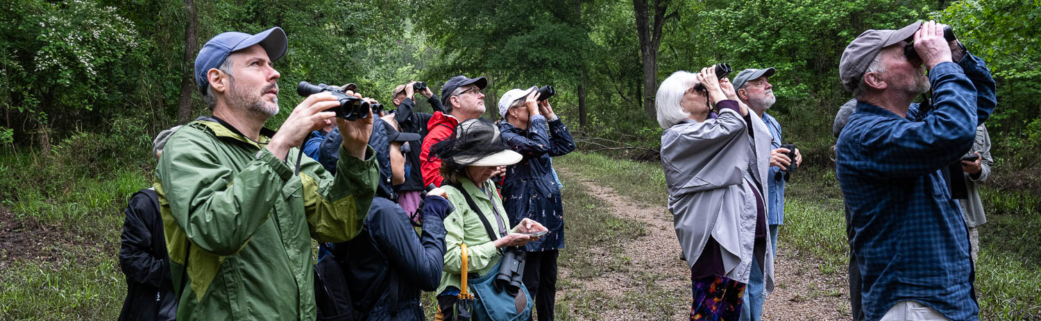 Christmas Bird Count (CBC)